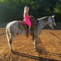 Elkhart Horse Sales - ELKHART HORSE SALE