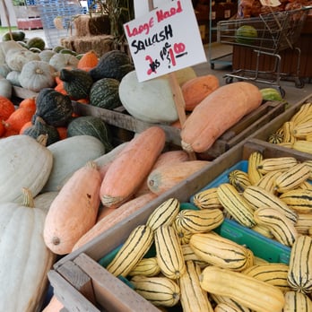 Country Farms - a variety of squash and gourds - Fruits & Veggies Near Me - Lake Stevens, Washington Country Farms - a variety of squash and gourds - Fruits & Veggies Near Me - Lake Stevens, Washington