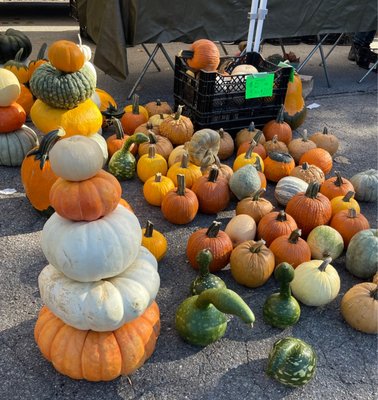 Broad Ripple Farmers Market by null