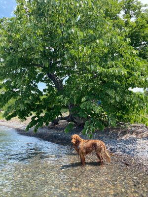 Long Point State Park by null
