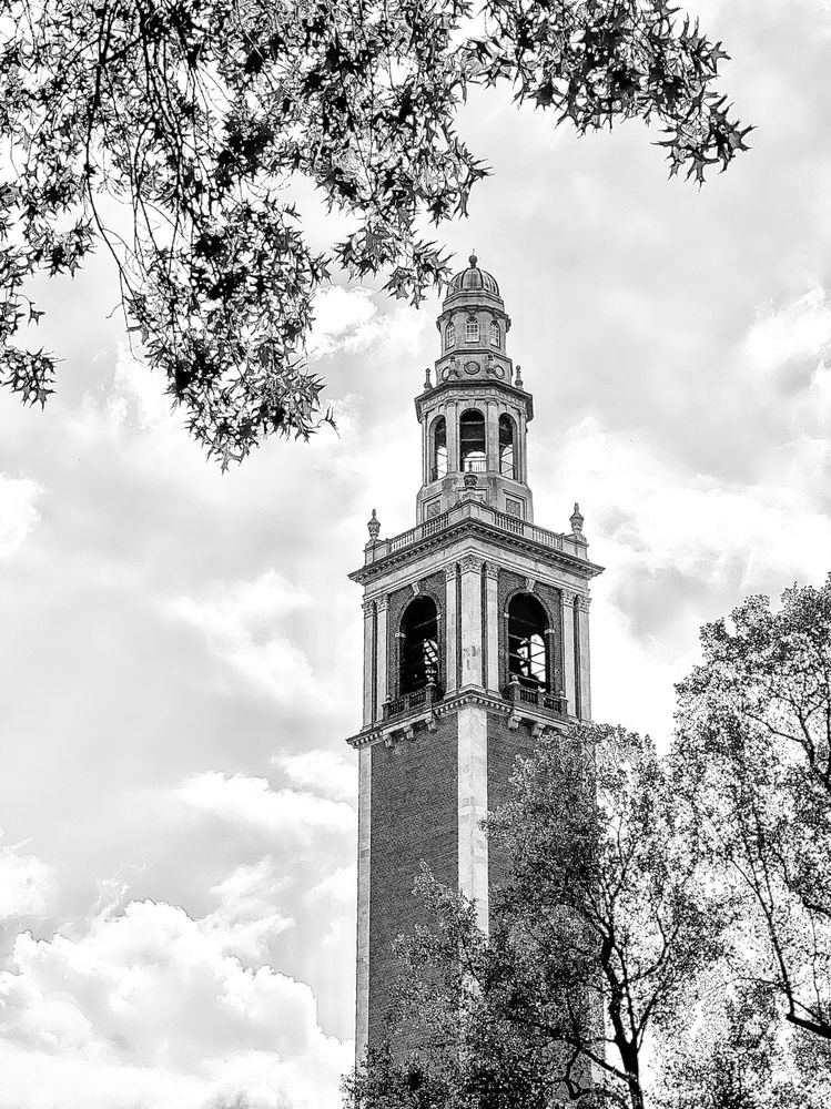 Richmond VegFest - social services organization in Richmond, VA