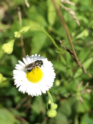 Clifford Park by null