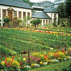 Offene Bibliothek
