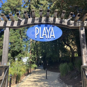 Playa - Mexican Near Me - Mill Valley, California