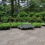 Photo of Stonefalls Gardens