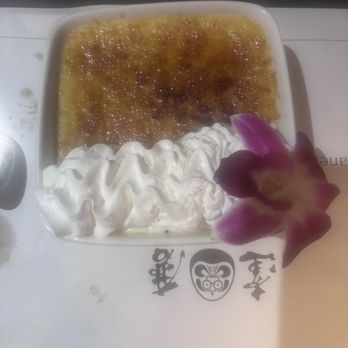 Daruma - Cream bur-lee - Japanese Near Me - Fort Myers, Florida Daruma - Cream bur-lee - Japanese Near Me - Fort Myers, Florida