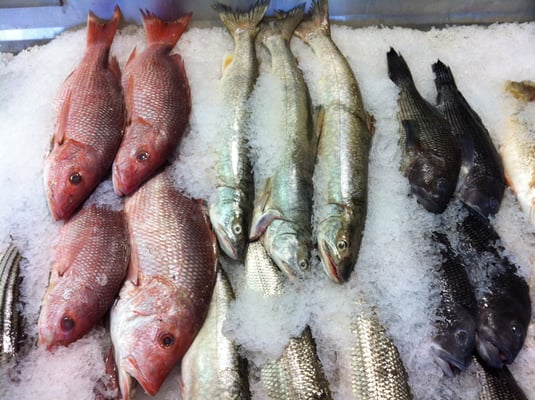 Boston Fish Market Inc by null