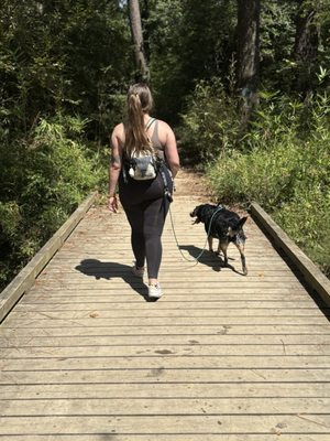 George Mitchell Nature Preserve by null