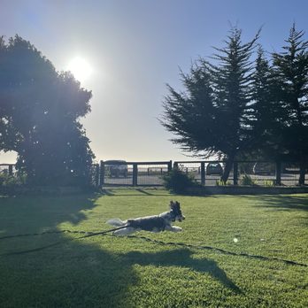 Back Bay Inn - Dog friendly - Hotels Near Me - Los Osos, California
