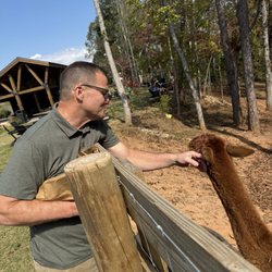 Dahlonega Wine Tours - DogHobble had lots of animals to see and pet. Great outdoor area with plenty of seating.