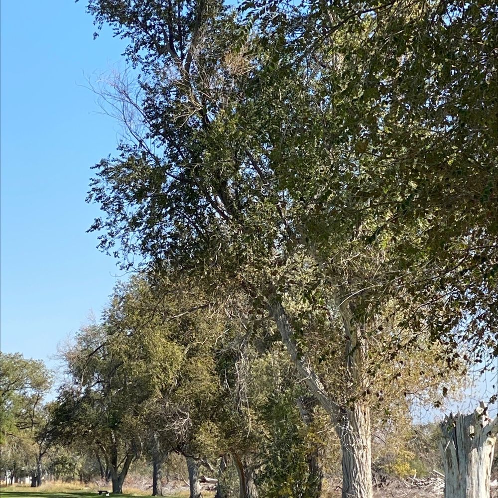 COPPER GOLF CLUB Updated September 2024 8975 W 2600th S, Magna