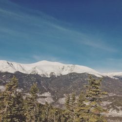 Wildcat Mountain - View from Upper Polecat a great Green Cruiser, longest trail in NH.