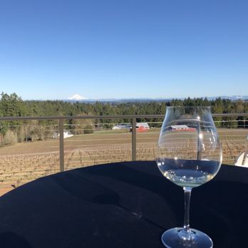 Hawks View Winery - View from the deck. This was before the grapes were in full bloom like they are now! - Wine Tasting Room Near Me - Sherwood, Oregon