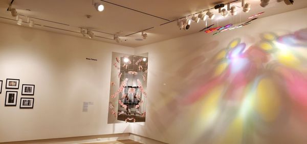 Rollins Museum of Art by null