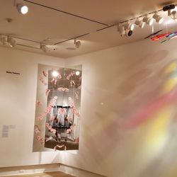 Rollins Museum of Art - Room 1
