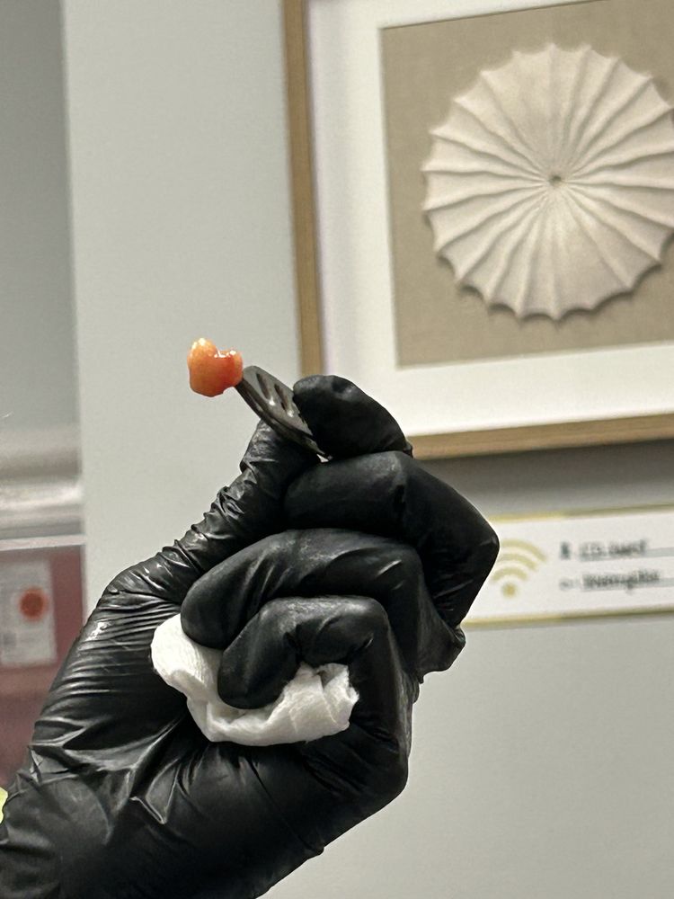 Intracoastal Dermatology and Skin Surgery Logo