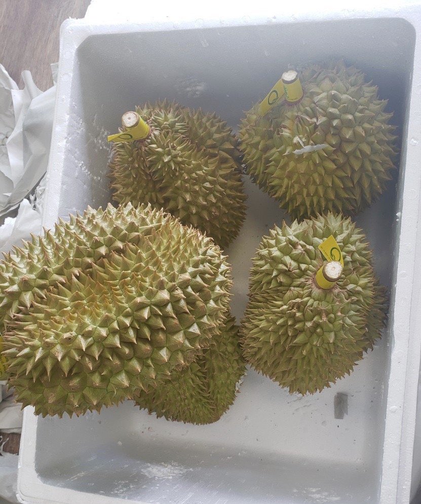 HT Fresh Fruits Dry Seafoods Logo