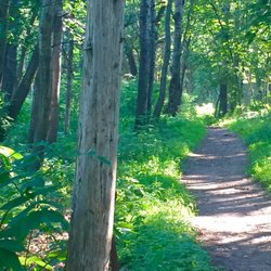 Arcola Bluffs Day Use Area
