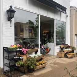 Urban Jungle of Regent Square - Storefront