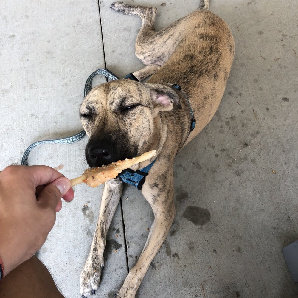 She loves it! She loves it!