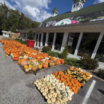 Arnold Farms - Fall 2025 - Nurseries & Gardening Near Me - Arnold, Maryland