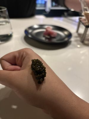 Muselet Champagne Bar by null