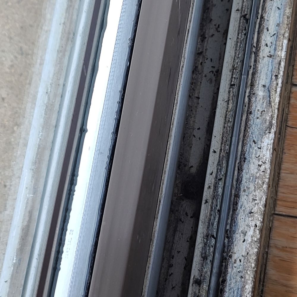 Will Cleaning NY - Home Cleaning Near Me Will Cleaning NY - Home Cleaning Near Me