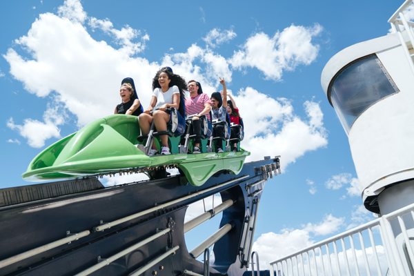Thrill Rides by null
