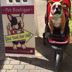 How 'Bout Your Pet?