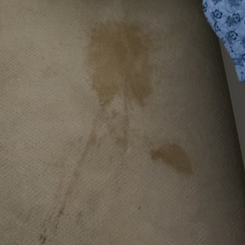 Stagecoach Steam Cleaning - Carpet Cleaning Near Me Stagecoach Steam Cleaning - Carpet Cleaning Near Me