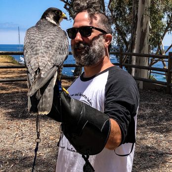 Catalina Falconry Experience - Active Life Near Me - Avalon, California Catalina Falconry Experience - Active Life Near Me - Avalon, California