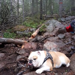 Skuleskogen National Park - Quick break