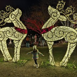 Lights on the Farm