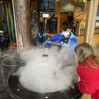 Hands On Children's Museum - One of the many fun stations throughout the museum. - Children's Museums Near Me - Olympia, Washington Hands On Children's Museum - One of the many fun stations throughout the museum. - Children's Museums Near Me - Olympia, Washington