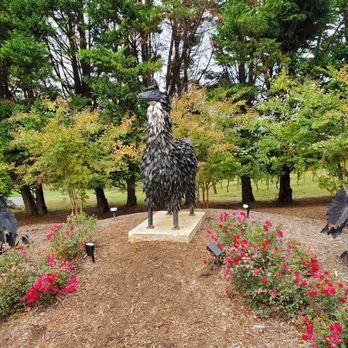 Divine Llama Vineyard - Wineries Near Me - East Bend, North Carolina