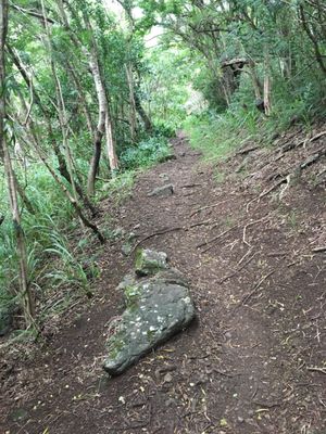 Kuli'ou'ou Valley Trail by null