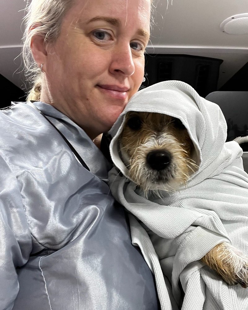 POOCH MOBILE GROOMING Updated October 2024 21 Photos & 13