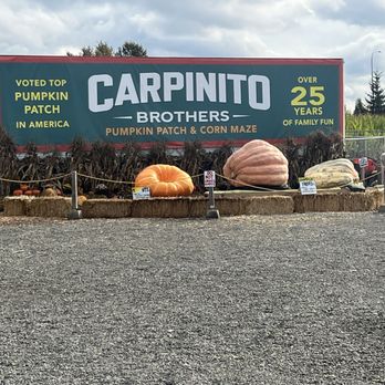 Carpinito Brothers Pumpkin Patch - Entrance sign - Farmers Market Near Me - Kent, Washington Carpinito Brothers Pumpkin Patch - Entrance sign - Farmers Market Near Me - Kent, Washington