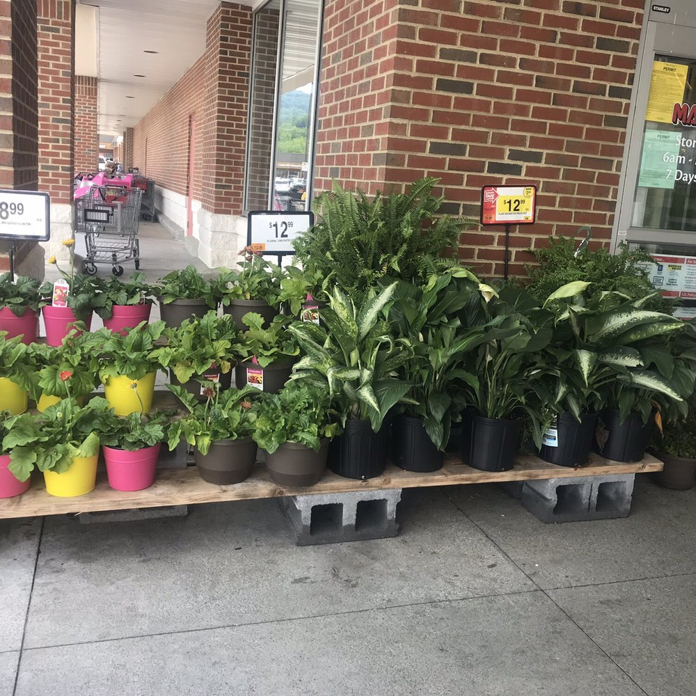 Martin's - Grocery Near Me - Front Royal, Virginia
