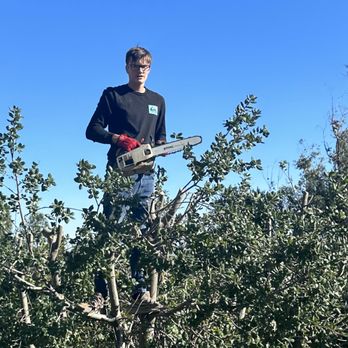 Reliable Trash Hauling and Tree Removal - Small tree trimming/removal - Junk Removal & Hauling Near Me Reliable Trash Hauling and Tree Removal - Small tree trimming/removal - Junk Removal & Hauling Near Me