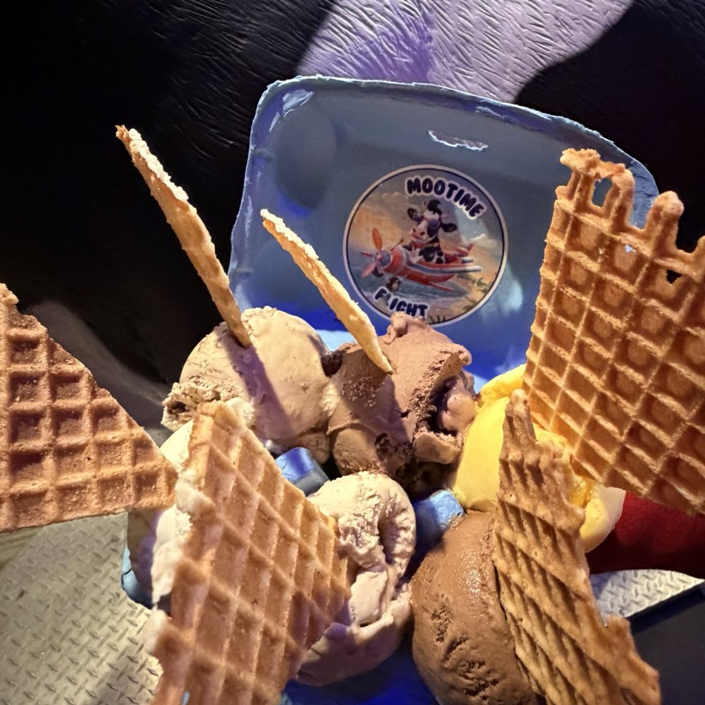MooTime Creamery - Ice Cream & Frozen Yogurt Near Me - Coronado, California MooTime Creamery - Ice Cream & Frozen Yogurt Near Me - Coronado, California