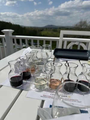 Cellardoor Winery by null