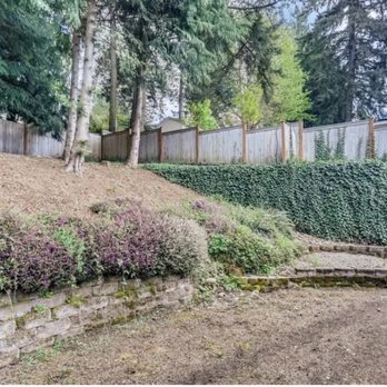 Seattle Pro Turf - Before picture - Artificial Turf Near Me - Kirkland, Washington Seattle Pro Turf - Before picture - Artificial Turf Near Me - Kirkland, Washington