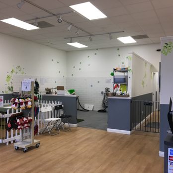 Pure Grooming - Pet Groomers Near Me - Poway, California Pure Grooming - Pet Groomers Near Me - Poway, California
