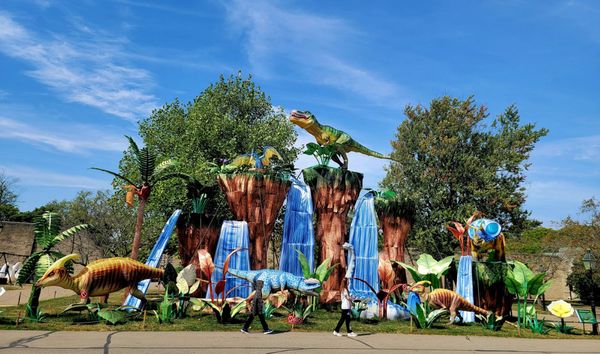 The Buffalo Zoo by null