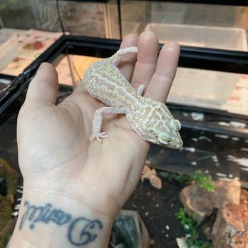 Pet's World - Got my new bestie here Luna is so amazing and love her so much!! - Pet Stores Near Me - Riverdale, Georgia Pet's World - Got my new bestie here Luna is so amazing and love her so much!! - Pet Stores Near Me - Riverdale, Georgia