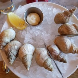 Whelk, let me tell you a story ... Whelk, let me tell you a story ...