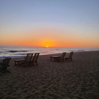 The Green Room - Seafood Near Me - Todos Santos, BCS