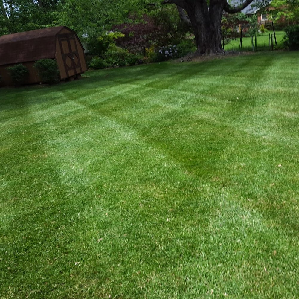 Padgett Lawn Service - tree service in Nicholasville, KY