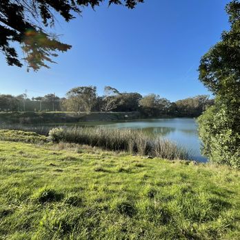 Lake Merced - Parks Near Me Lake Merced - Parks Near Me